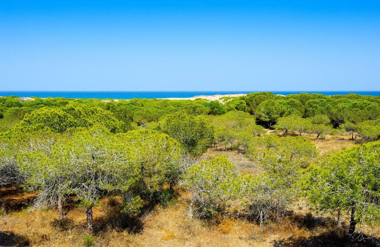 Luxury Pinada Beach La Mata  Eksteriør billede